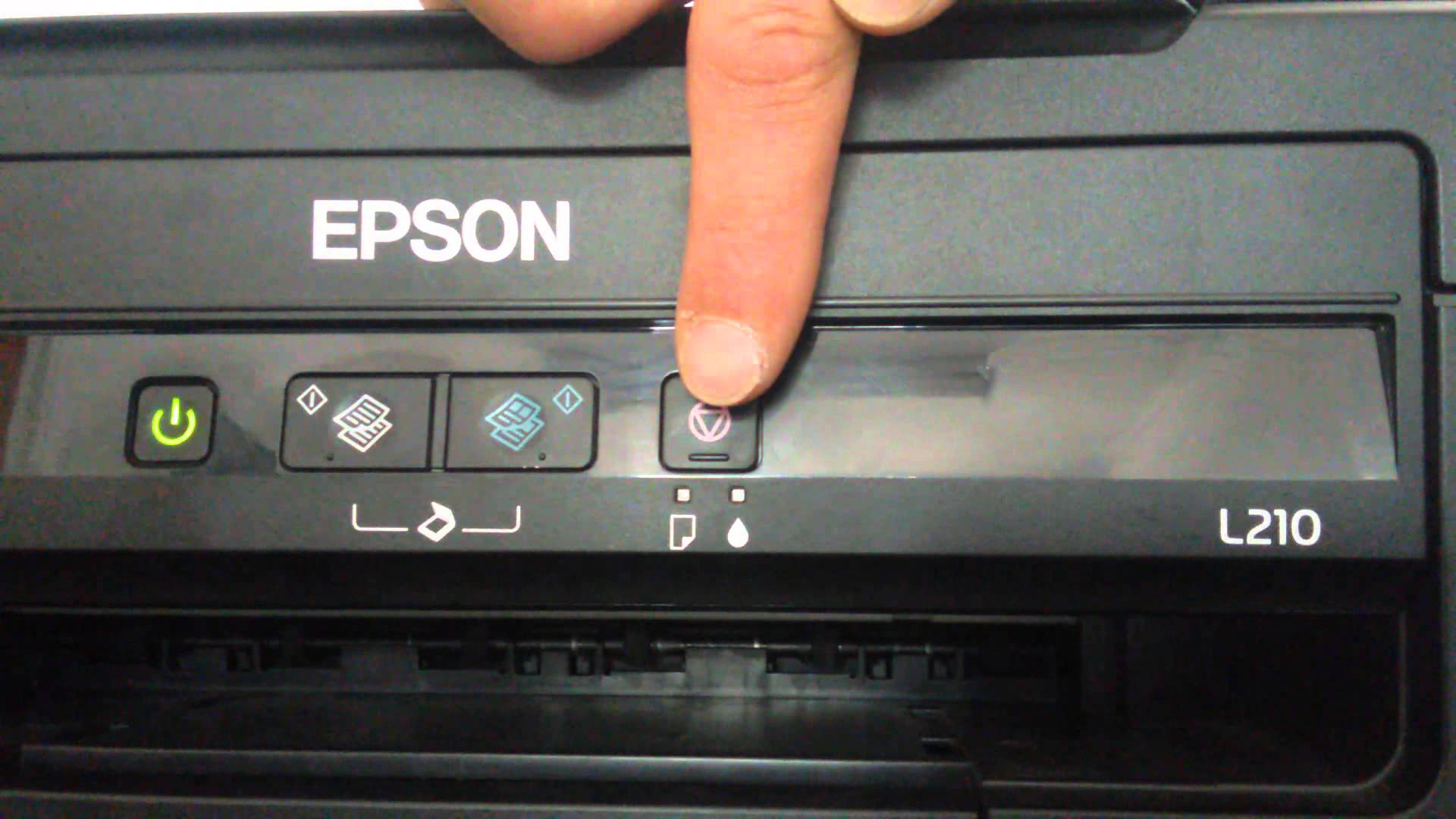 epson l210 сброс уровня чернил кнопками