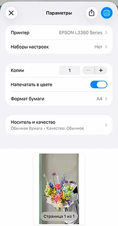 Epson l3367 печатаем через AirPrint
